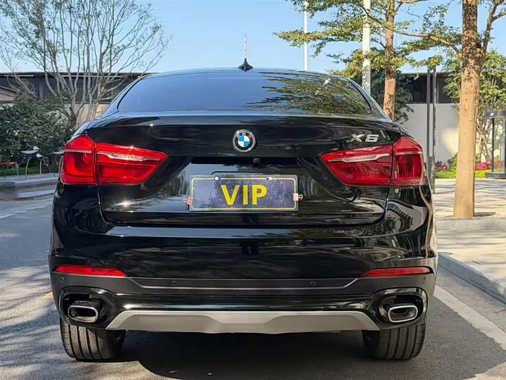 BMW X6 2018 x Drive 35i Leading — фото 13