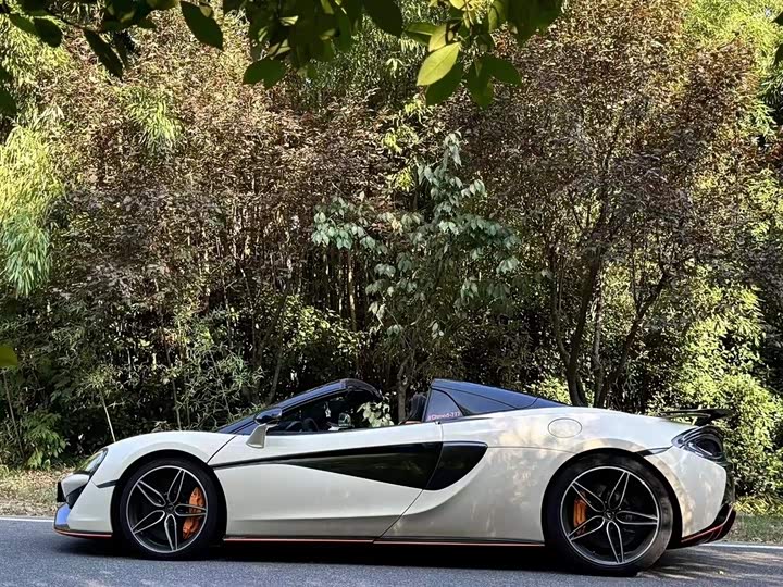 McLaren 570 2019 570 S 3.8 T Spider — фото 3