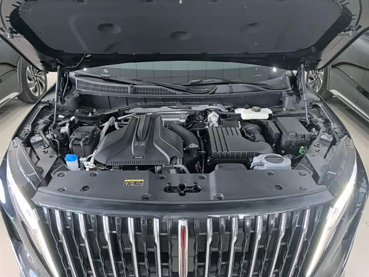Hongqi HS7 PHEV 2024 2.0 T PHEV 4 WD 6 — фото 20