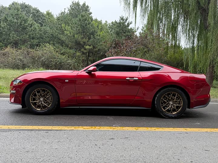 Ford Mustang 2021 2.3 T Eco Boost — фото 3