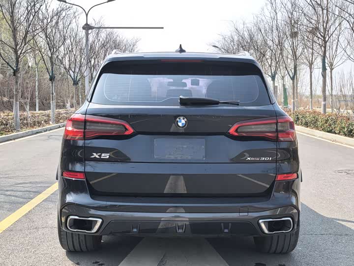 BMW X5 2020 x Drive 30i M — фото 6
