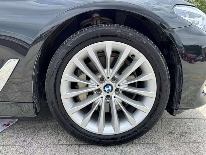 BMW 5-Series 2019 530 Li Leading — фото 9