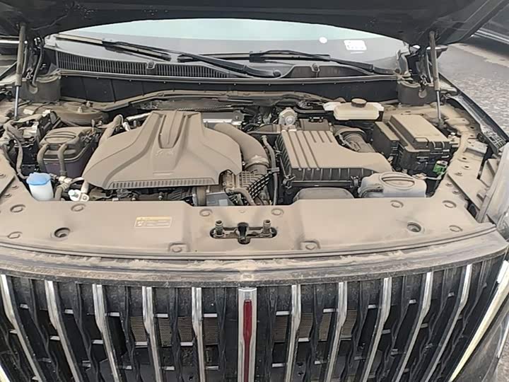 Hongqi HS7 PHEV 2024 2.0 T PHEV 4 WD 7 — фото 20