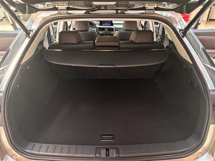 Lexus RX 2017 450h Mark Levinson 4 WD — фото 19