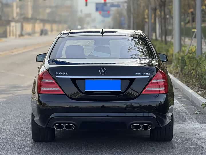 Mercedes-Benz S-Class 2013 AMG S 65 L Grand Edition — фото 5