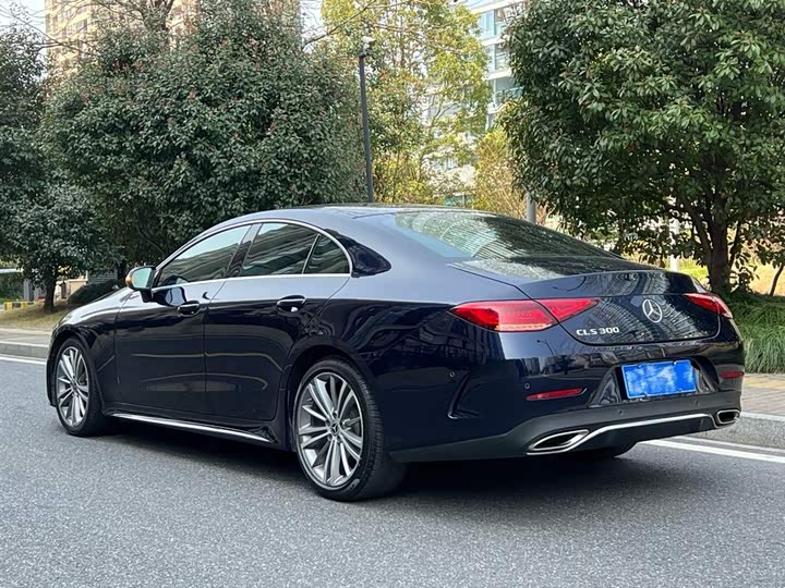 Mercedes-Benz CLS 2020 CLS 300 — фото 3