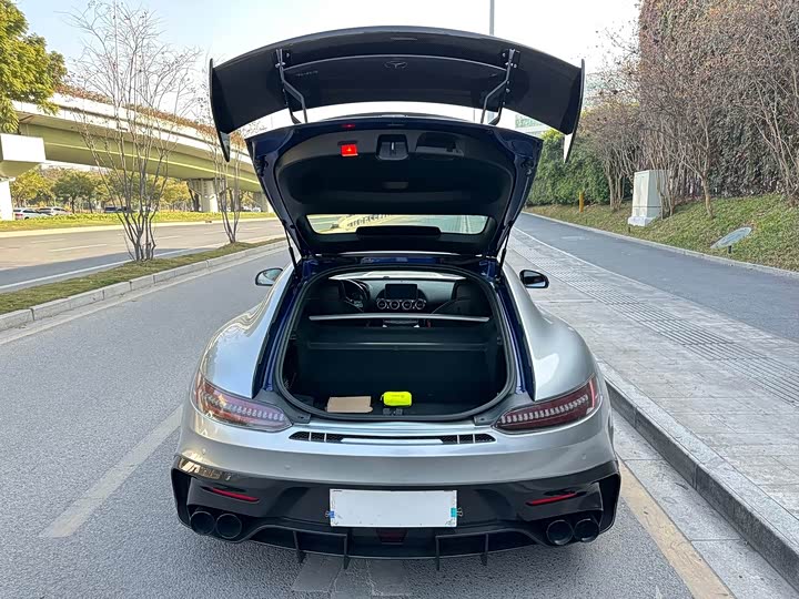 Mercedes-Benz AMG 2015 AMG GT S — фото 18
