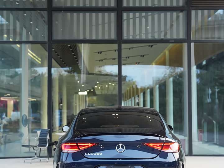Mercedes-Benz CLS 2021 CLS 300 Luxury — фото 17