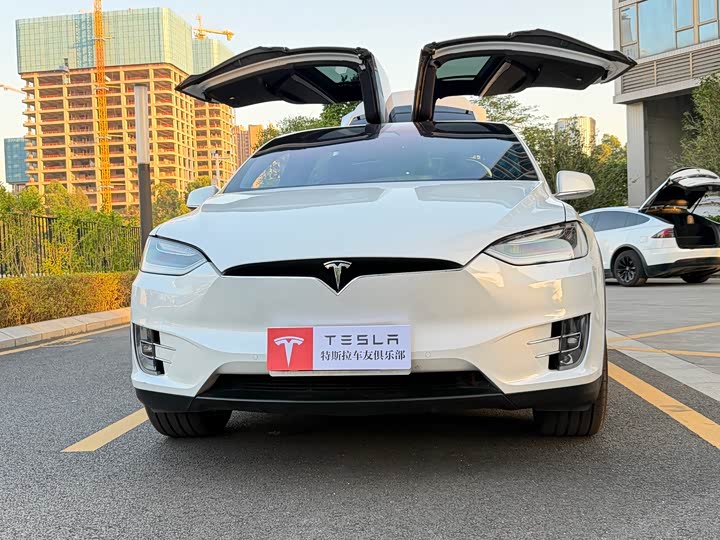 Tesla Model X 2019 — фото 19