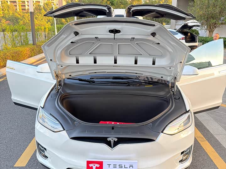 Tesla Model X 2019 — фото 14
