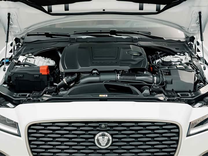 Jaguar XFL 2024 2.0 T P 300 4 WD — фото 25
