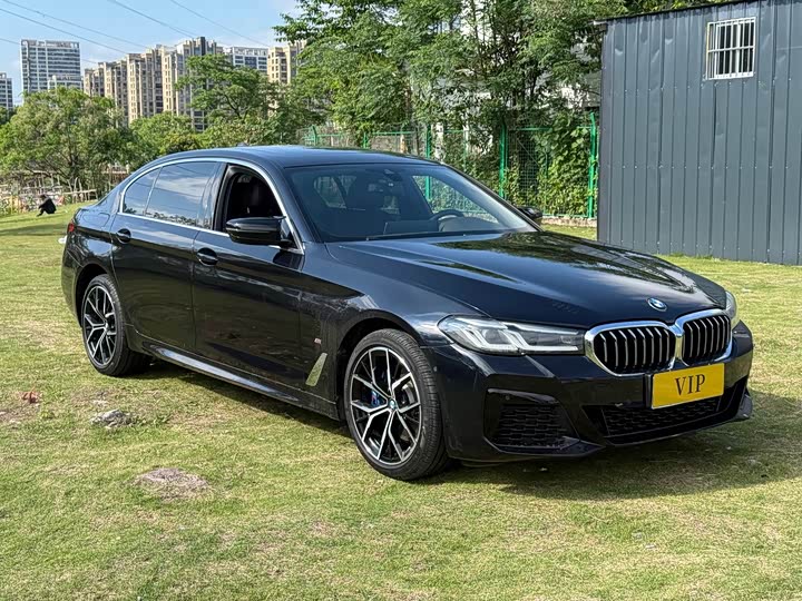 BMW 5-Series 2021 530 Li Leading M — фото 3