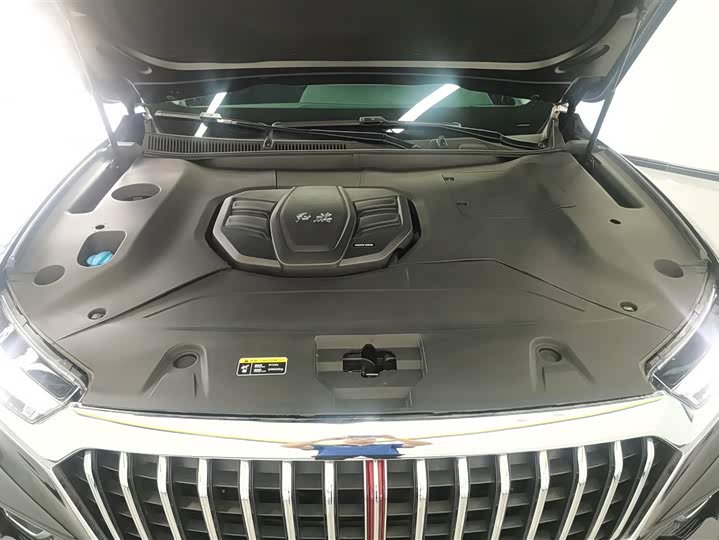 Hongqi HS5 2019 2.0 T 4 WD — фото 10