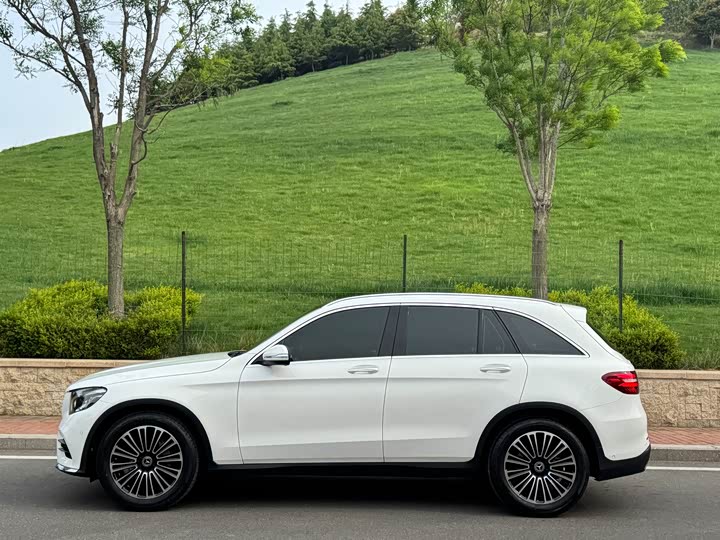 Mercedes-Benz GLC 2018 GLC 260 4 MATIC — фото 6