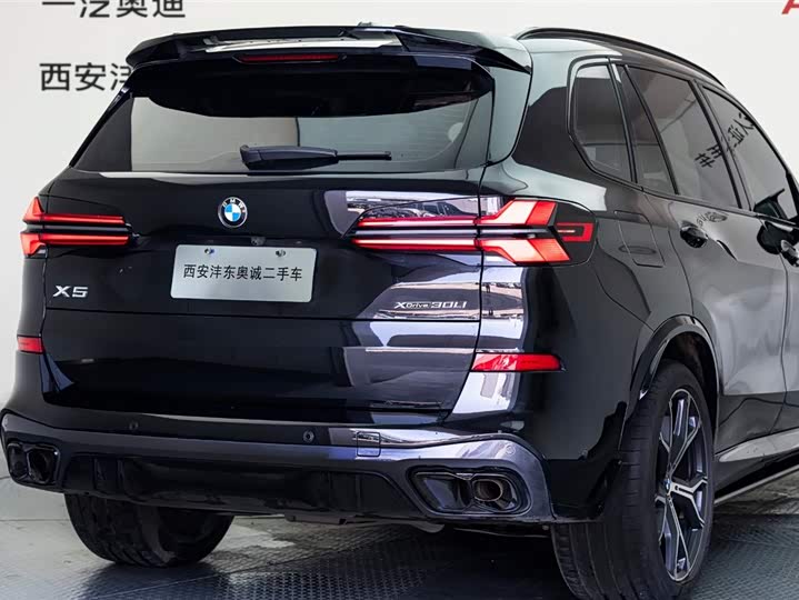 BMW X5 2023 x Drive 30 Li M — фото 23
