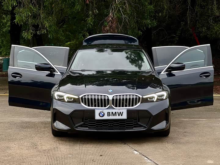 BMW 3 Series 320Li M спортпакет — фото 19