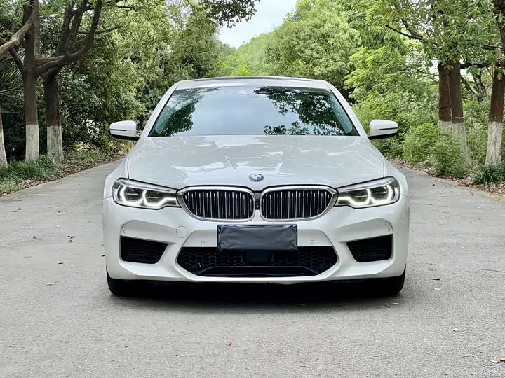 BMW 5 Series рестайлинг 540Li — фото 17