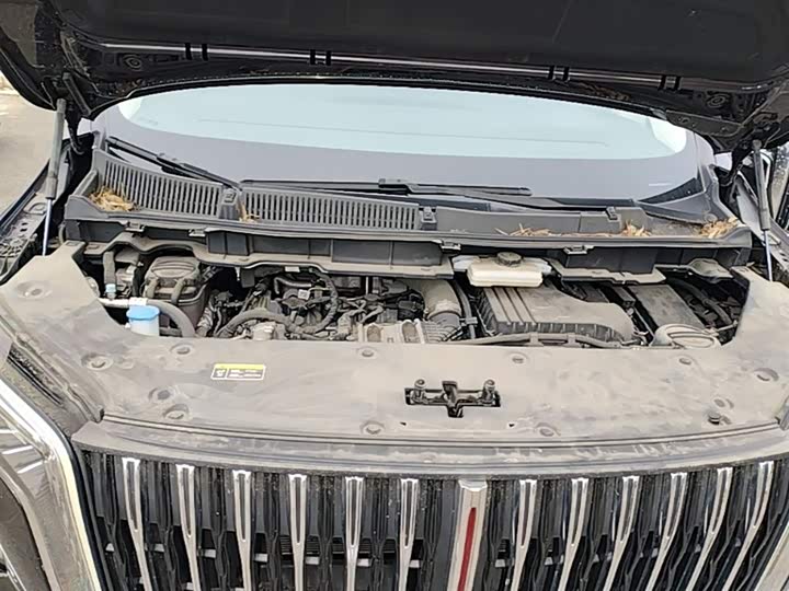 Hongqi HQ9 PHEV 2024 2.0 T 4 WD — фото 20