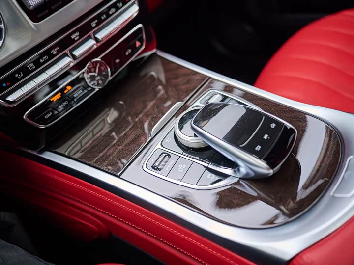 Mercedes-Benz G-Class 2019 G 500 — фото 13