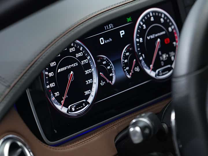 Mercedes-Benz S-Class 2014 AMG S 65 L — фото 14