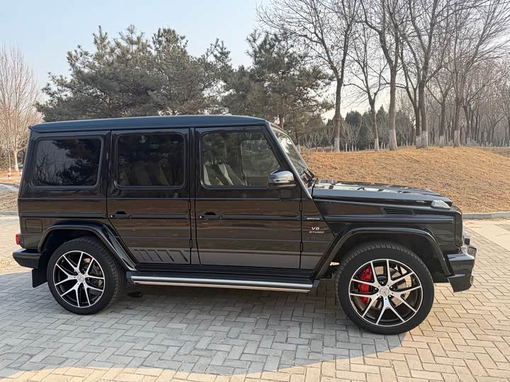 Mercedes-Benz G-Class 2016 AMG G 63 Edition 463 — фото 6