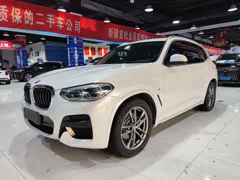 BMW X3 2020 x Drive 28i M — фото 19