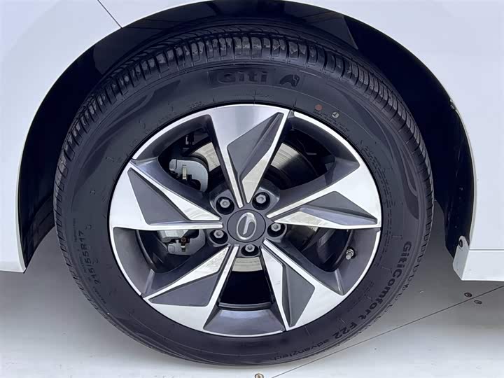 Trumpchi M6 2025 MAX 270 T WDCT — фото 12