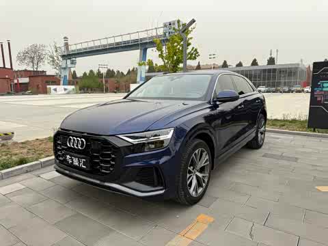 Audi Q8 2019 55 TFSI — фото 16