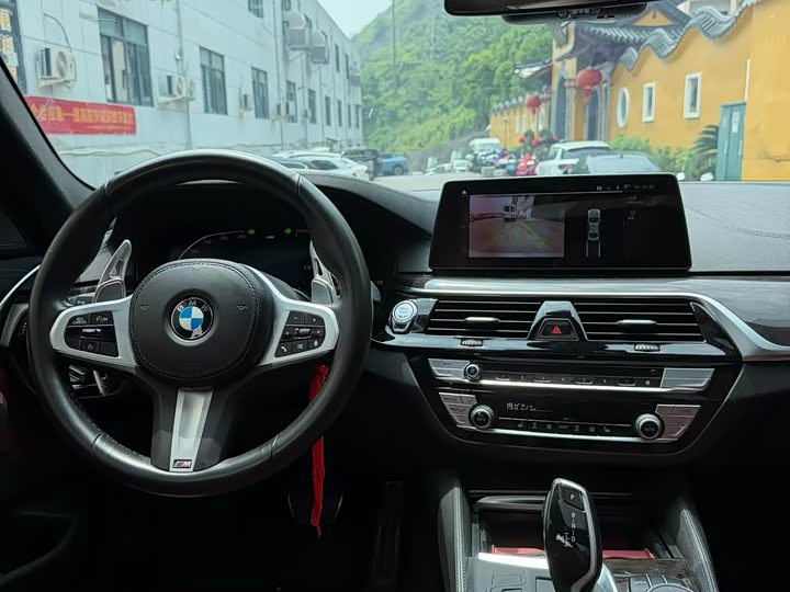 BMW 5-Series 2020 530 Li Leading M — фото 6