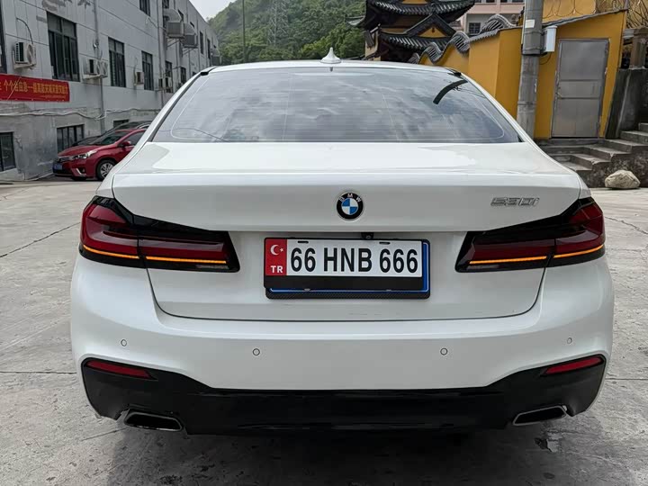 BMW 5-Series 2020 530 Li Leading M — фото 9