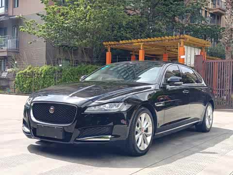 Jaguar XFL 2019 XFL 2.0 T 250 PS 2 WD — фото 24