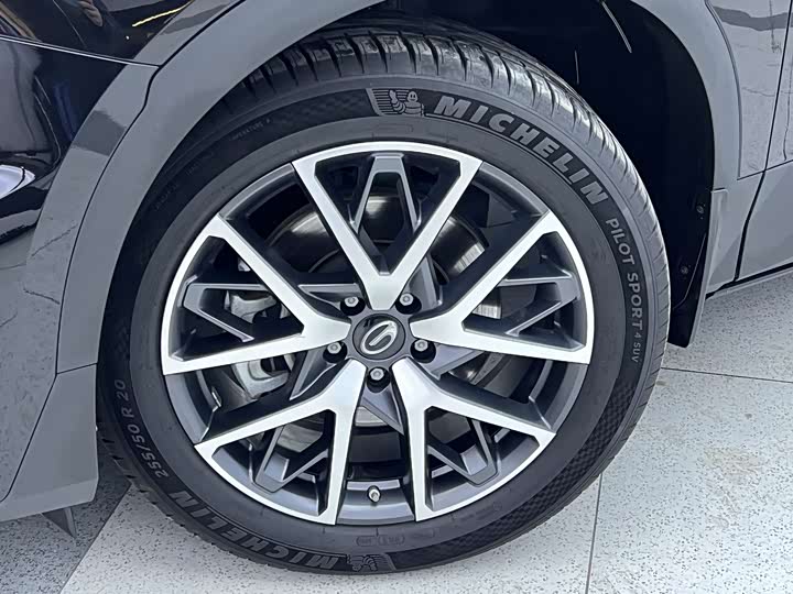 Trumpchi GS8 2024 2.0 TGDI 4 WD 7 — фото 8