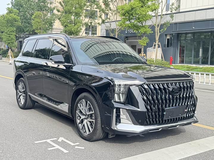 Trumpchi GS8 2022 2.0 TM 2 WD ( ) — фото 3