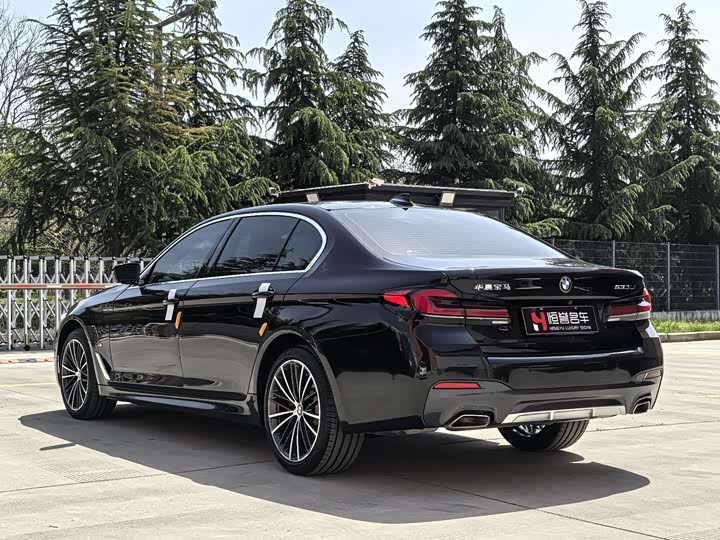 BMW 5-Series 2022 530 Li Leading M — фото 26