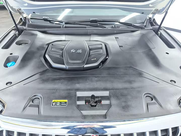 Hongqi HS5 2019 2.0 T 4 WD — фото 10