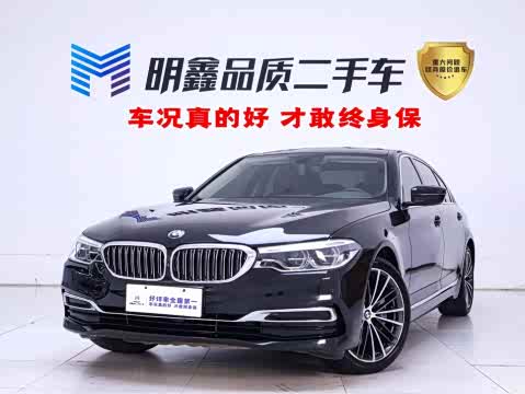 BMW 5-Series 2020 530 Li — фото 28