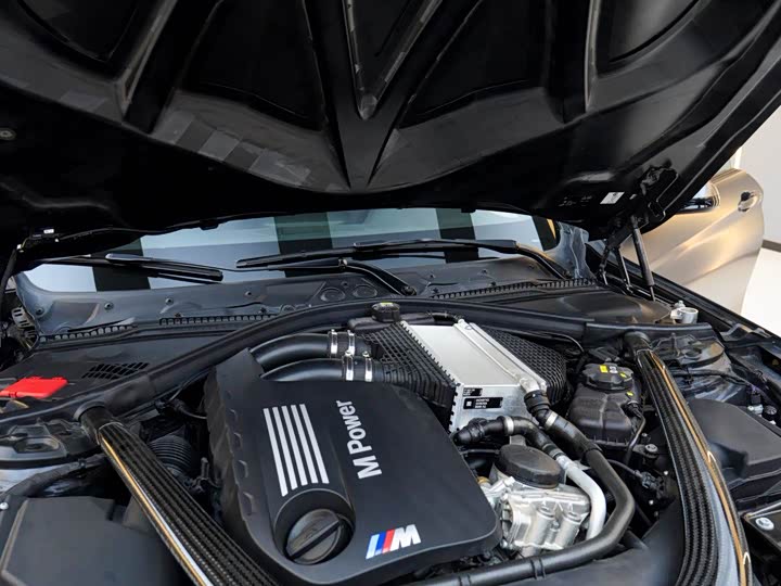 BMW M4 2016 M 4 GTS — фото 10