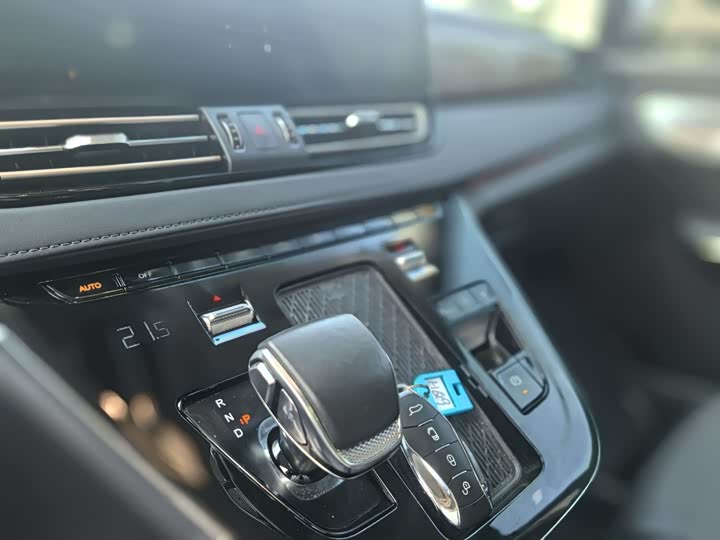 Hongqi HQ9 PHEV 2024 2.0 T 4 WD — фото 23