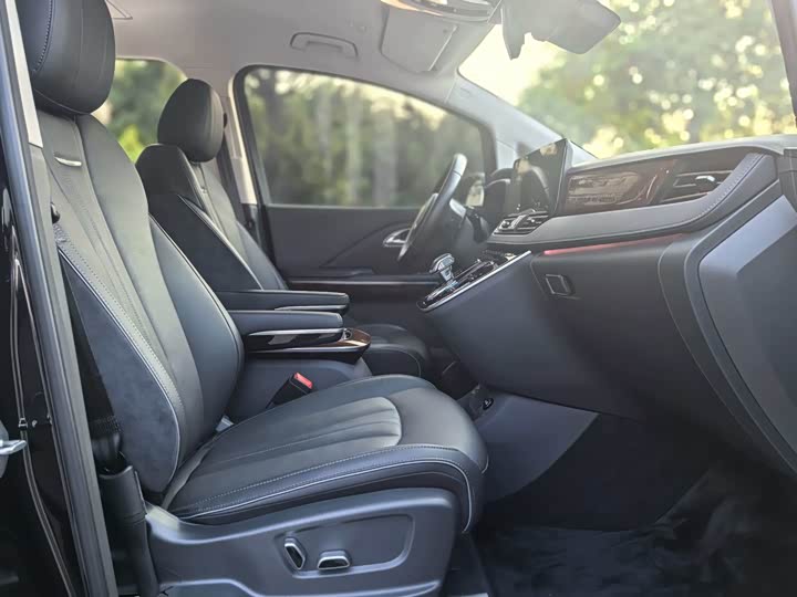 Hongqi HQ9 PHEV 2024 2.0 T 4 WD — фото 21