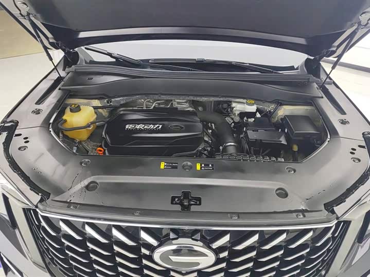 Trumpchi GS8 2022 2.0 TGDI 2 WD ( ) — фото 10