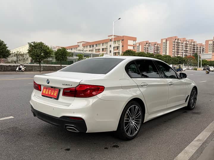 BMW 5-Series 2019 530 Li Leading M — фото 4