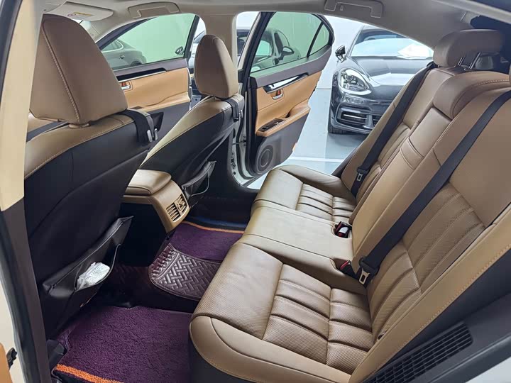 Lexus ES 2017 300h Mark Levinson — фото 11