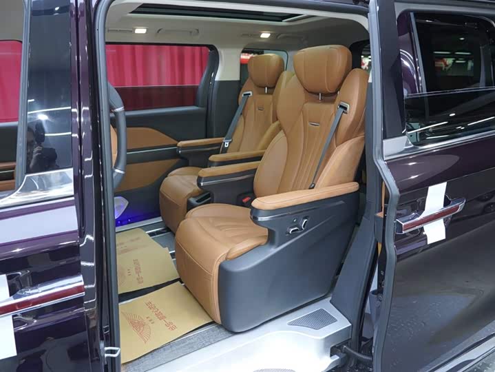 Hongqi HQ9 PHEV 2024 2.0 T 4 WD — фото 19