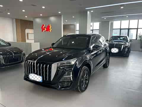 Hongqi HS5 2023 2.0 T Pro — фото 15