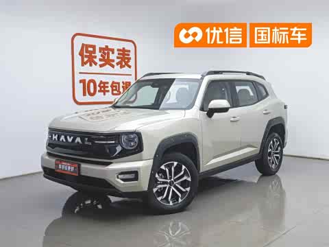 Haval Dargo plus — фото 26