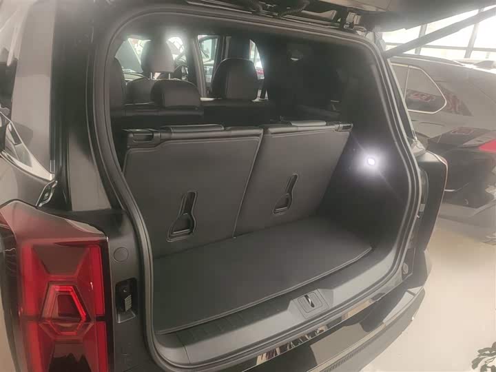 Trumpchi GS8 2024 2.0 TGDI 2 WD 7 — фото 19
