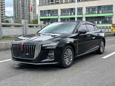 Hongqi H5 2023 1.5 T DCT — фото 24