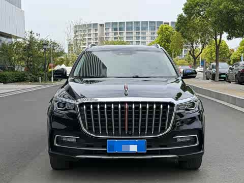Hongqi HS7 2021 3.0 T AT 4 WD — фото 19