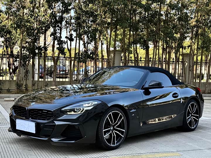 BMW Z 4 2019 s Drive 25i M — фото 2