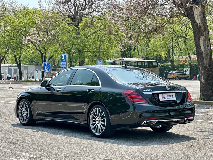 Mercedes-Benz S-Class 2019 S 450 L 4 MATIC — фото 12